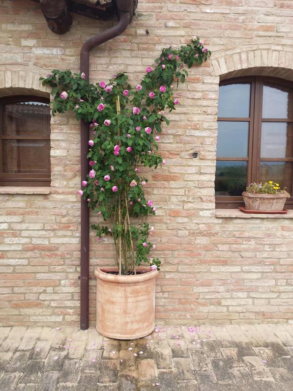 Agriturismo San Pierino Монтерони-д'Арбия Экстерьер фото
